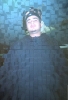 big cnobe experiment.jpg